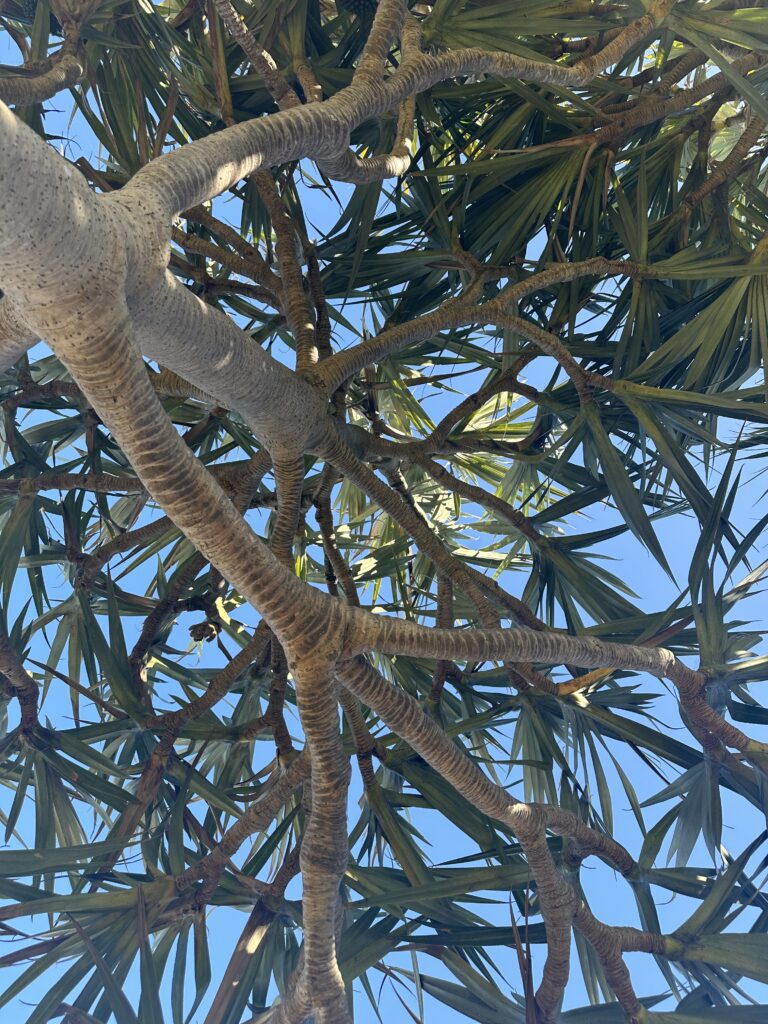 3歩進んで2歩下がる〜それでもいいよ！だって1歩は踏み出したんだから😁😁😁