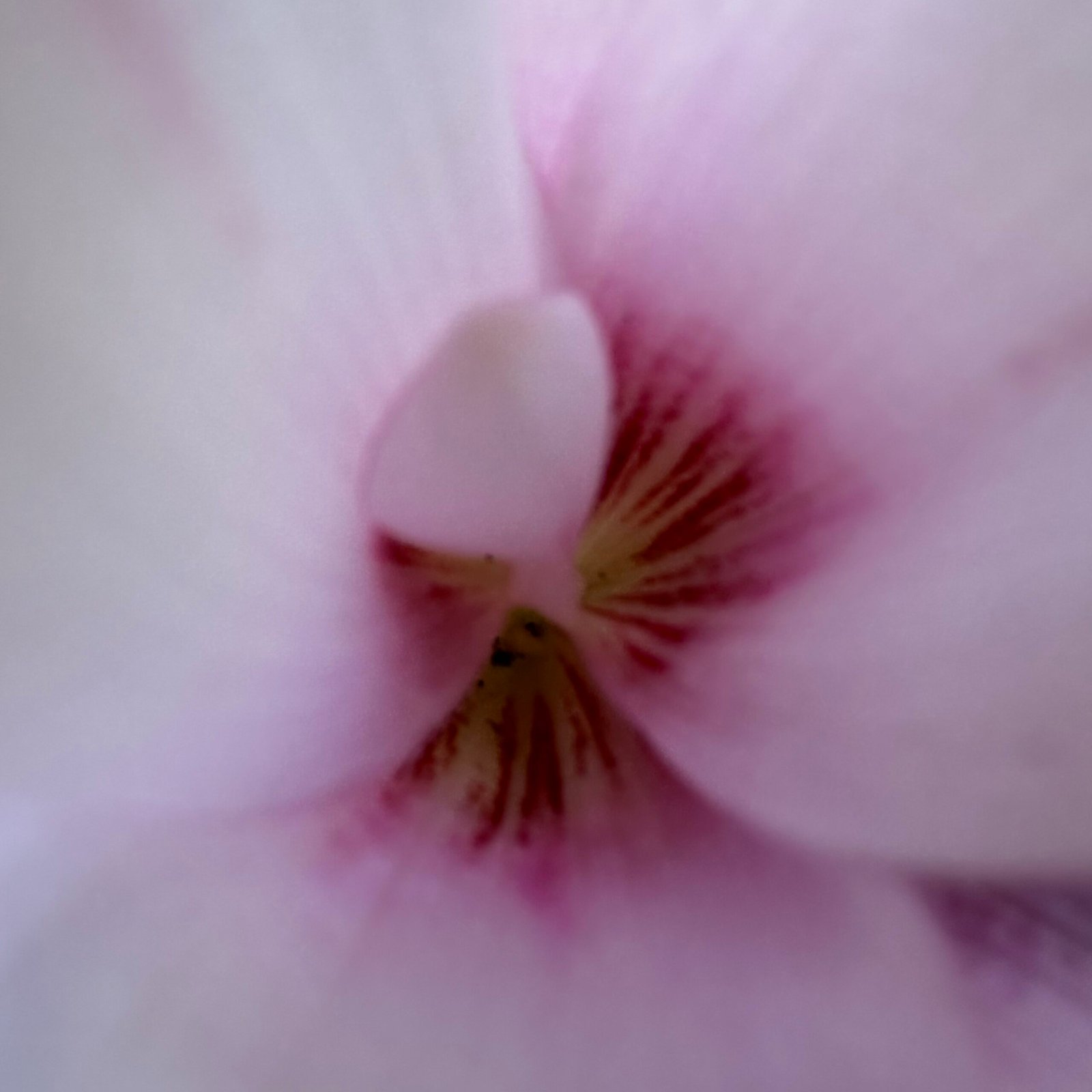 肋骨強打の巻・・・🤕こんな結末ってあり？