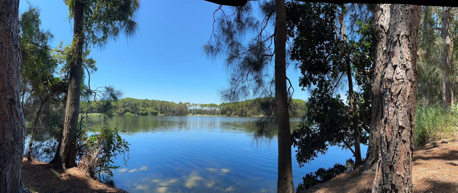 Australia Day🇦🇺の今日は・・・笹舟作ってみた！