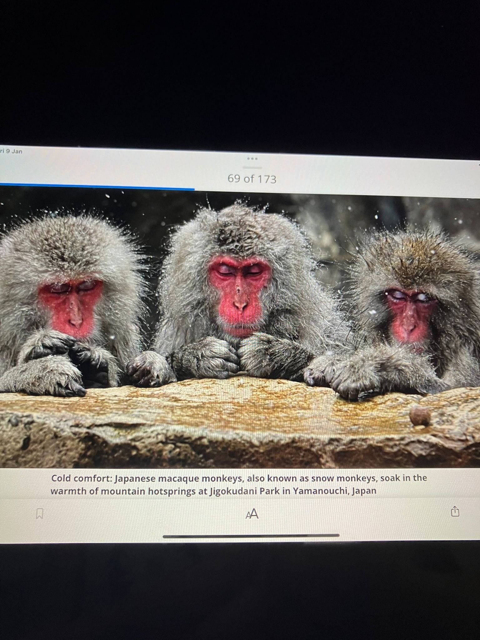 Jetstarジェットスターまたまた、リターンフリーチケット？！