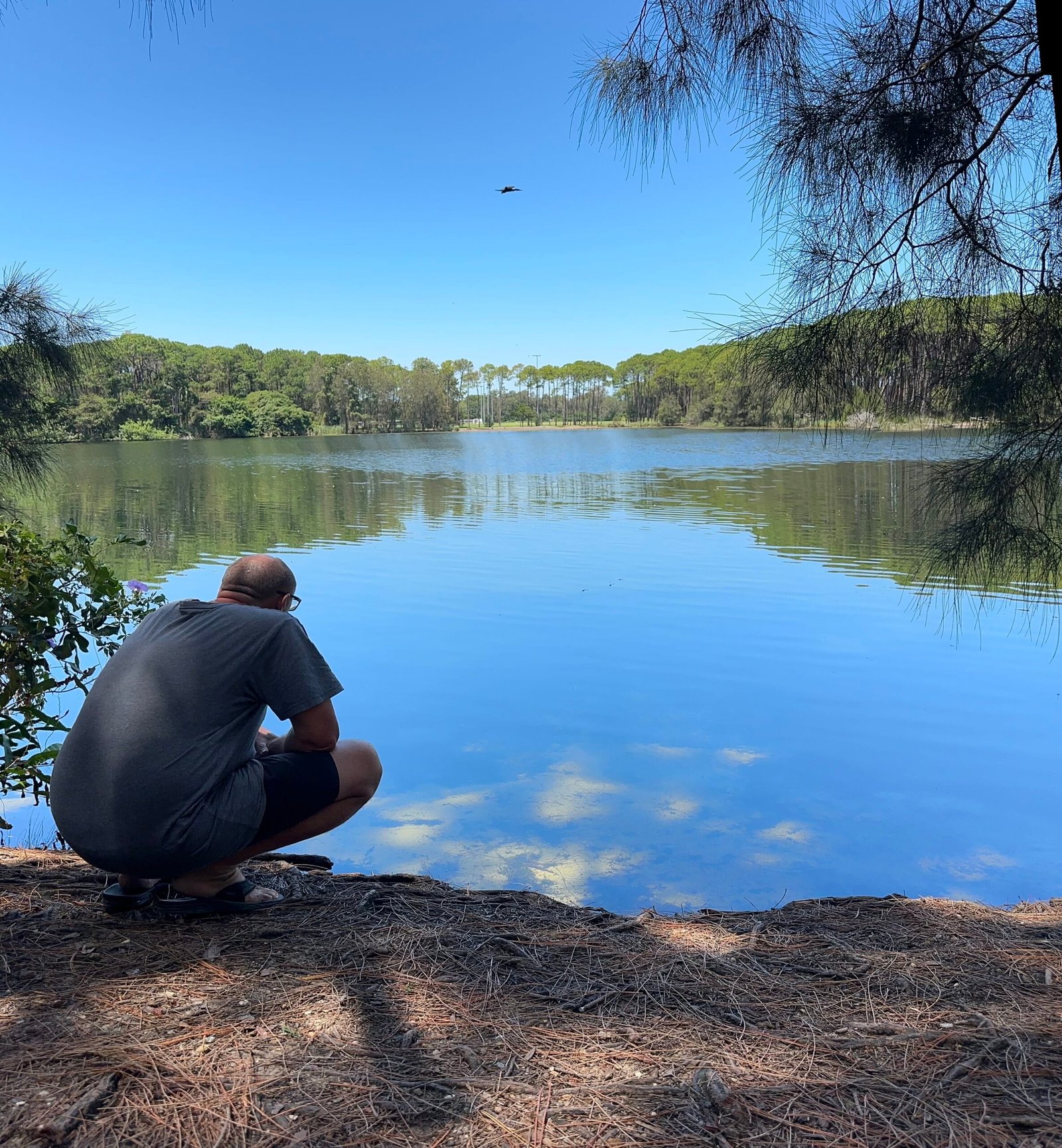 ここ数日でちょっと思う事が・・・前回の内容の継続編みたいかな？