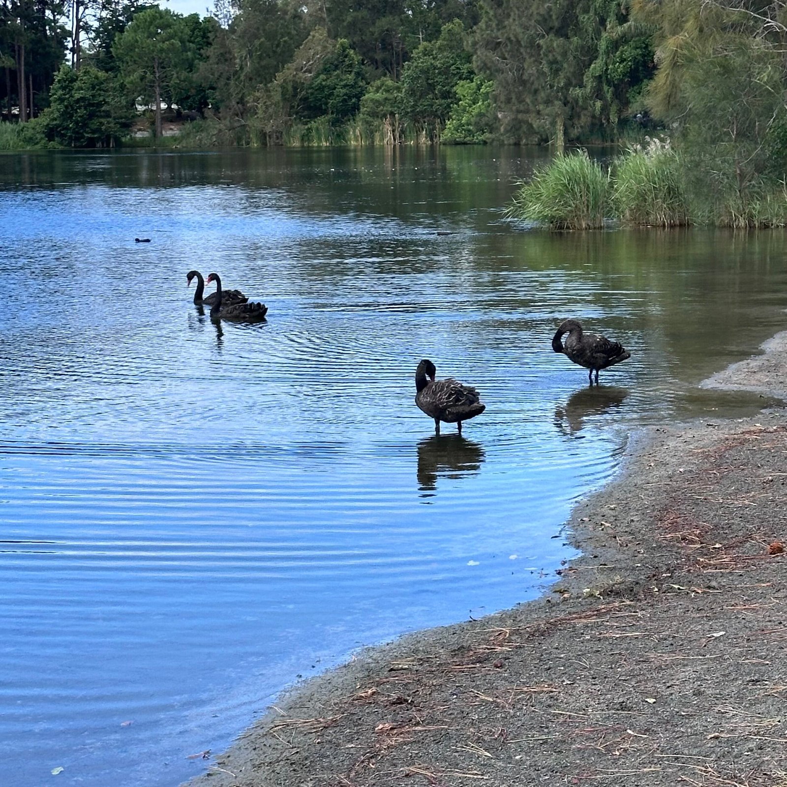 2日の休みで一体どうやって・・・回復できるかな？