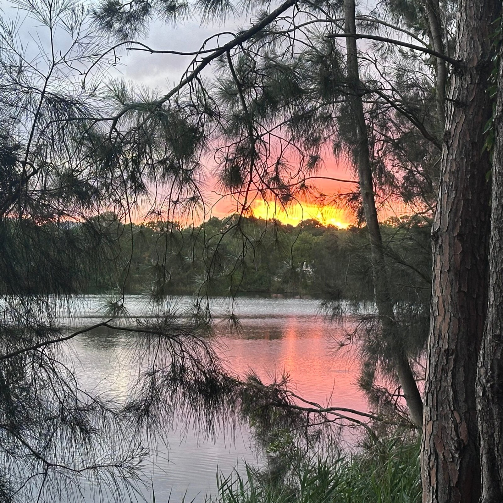 ときどき感じる、生きづらさ・・・ちょっと気持ちを吐き出したい😵