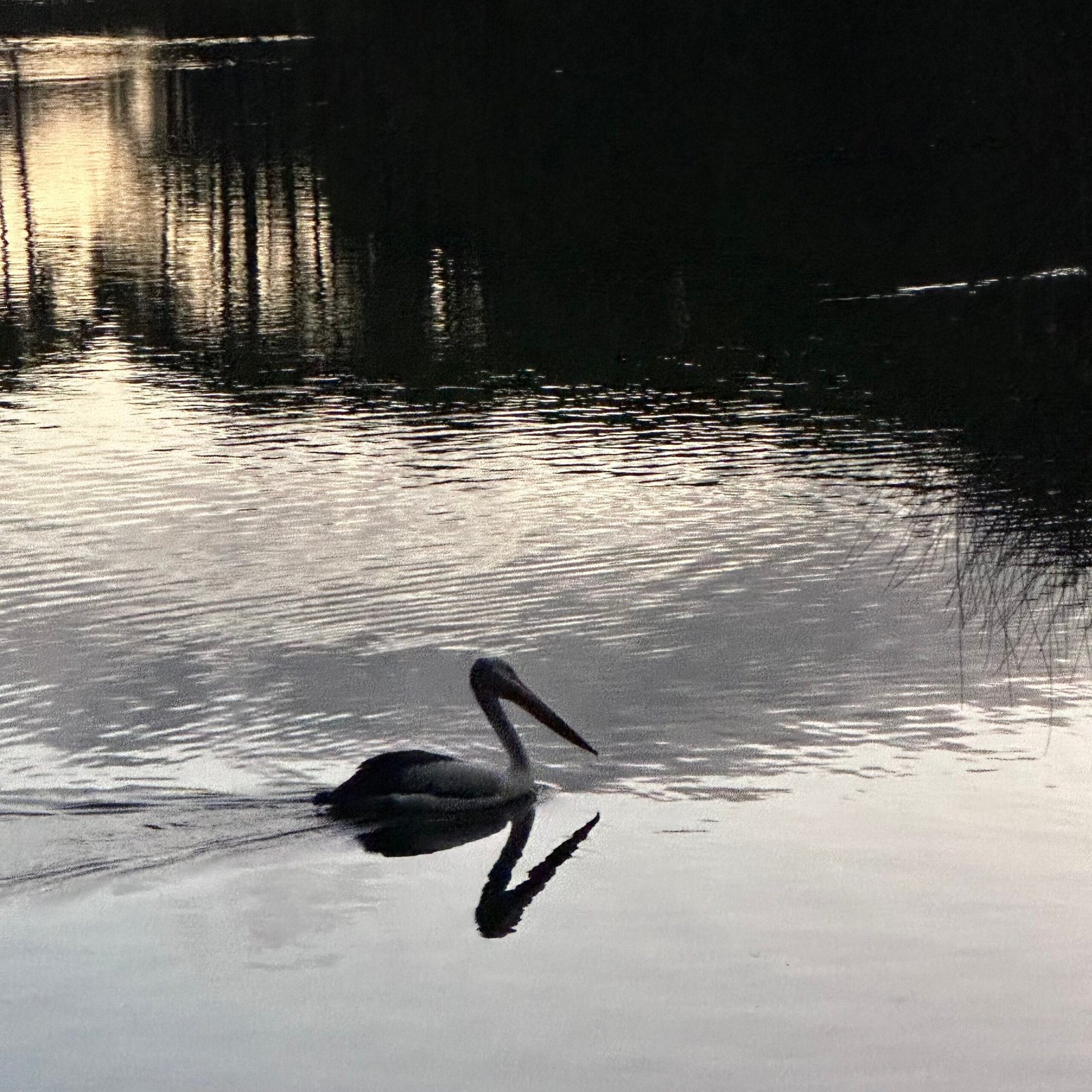 自分で選んできた道のりよ!生きづらさ感じても立て直しはいつでもできる😁