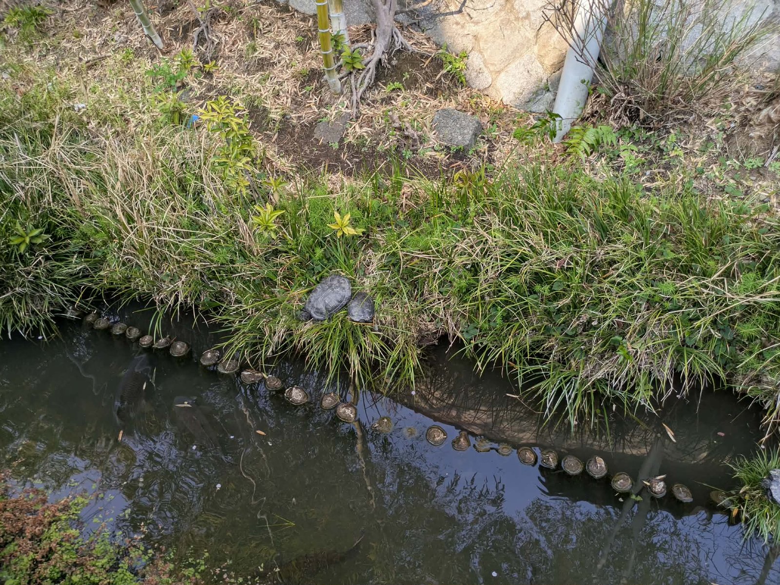 こんなこと書いていいのかな？赤裸々な更年期事情・・・🫣