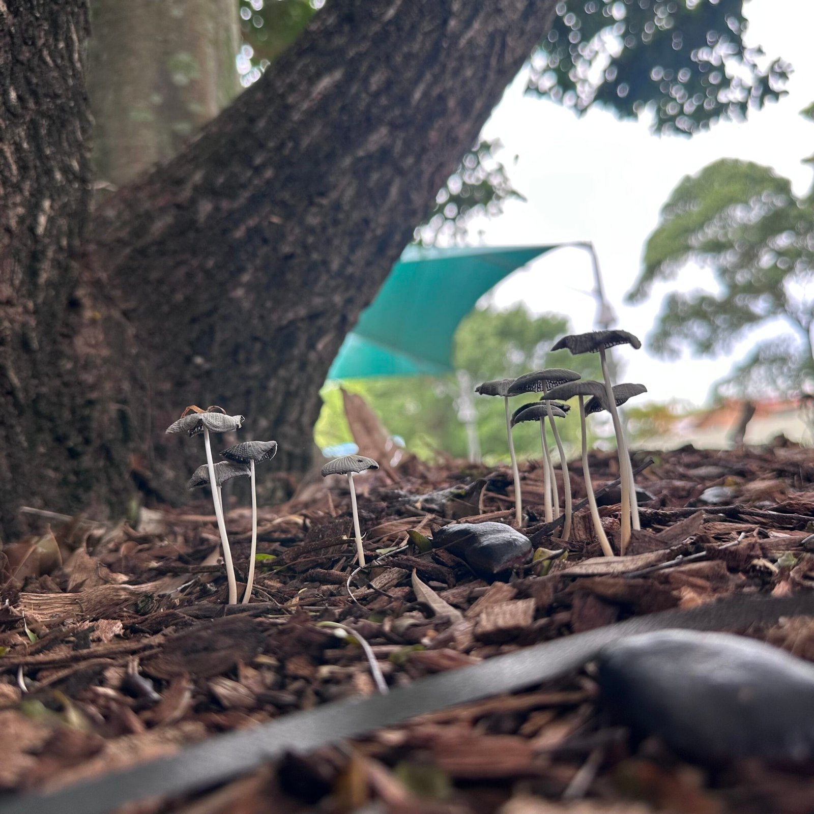 みんなやっぱり、なんにも考えてないね〜😅