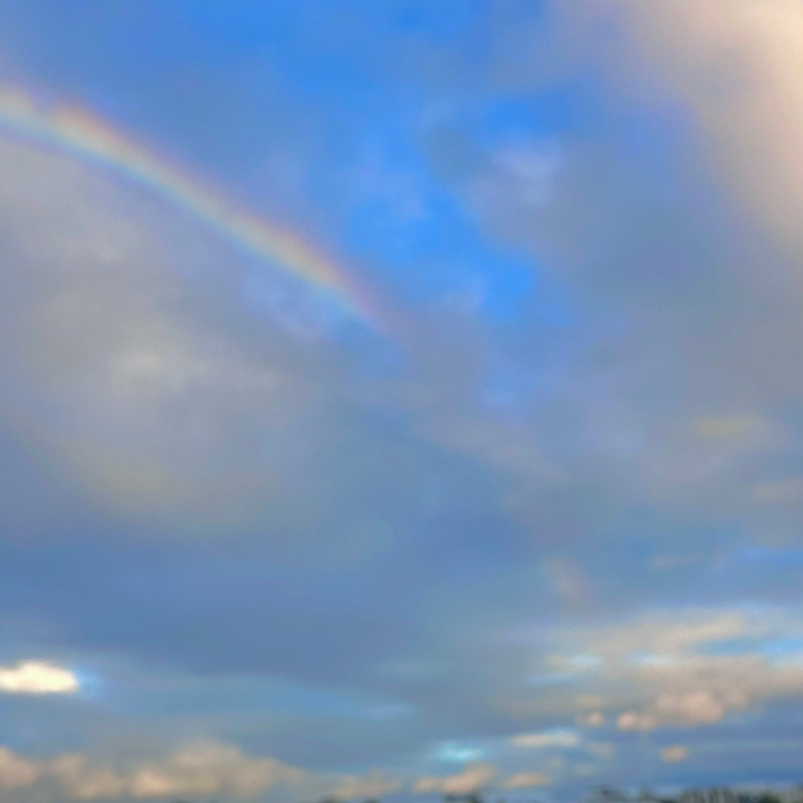 きれいな虹🌈見ちゃったよ〜！思い込みも大事よね？