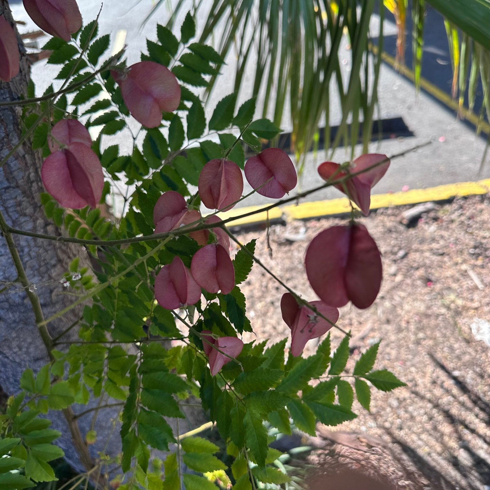 本当にさ、世の中混乱してても意外とみんな普通に過ごしてます。