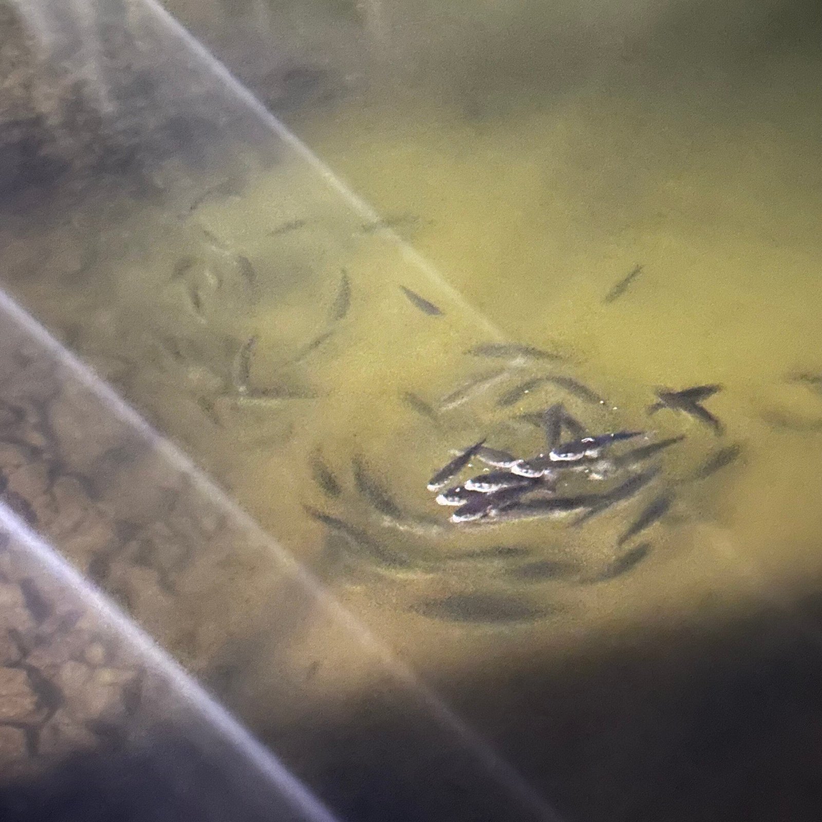 環境変えたい！メルボルンから、ホリデーで来た家族☺️