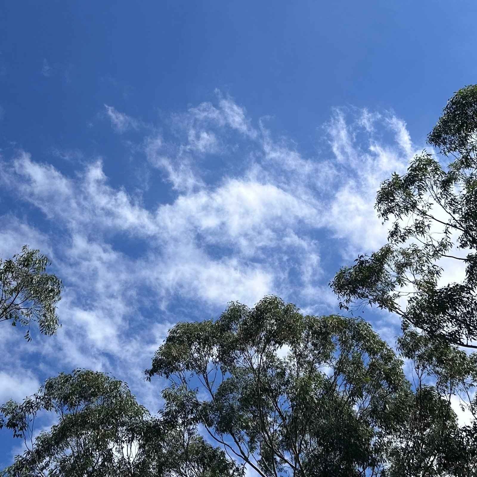 すっかり秋の天気だわ〜。寒くなる前に、バンの大掃除でもしますか〜