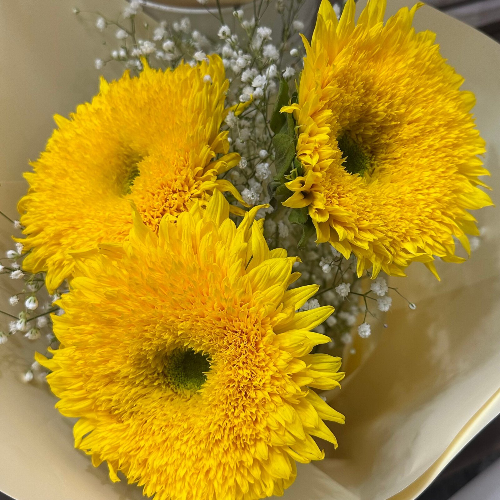 わたしの記憶が確かなら・・・