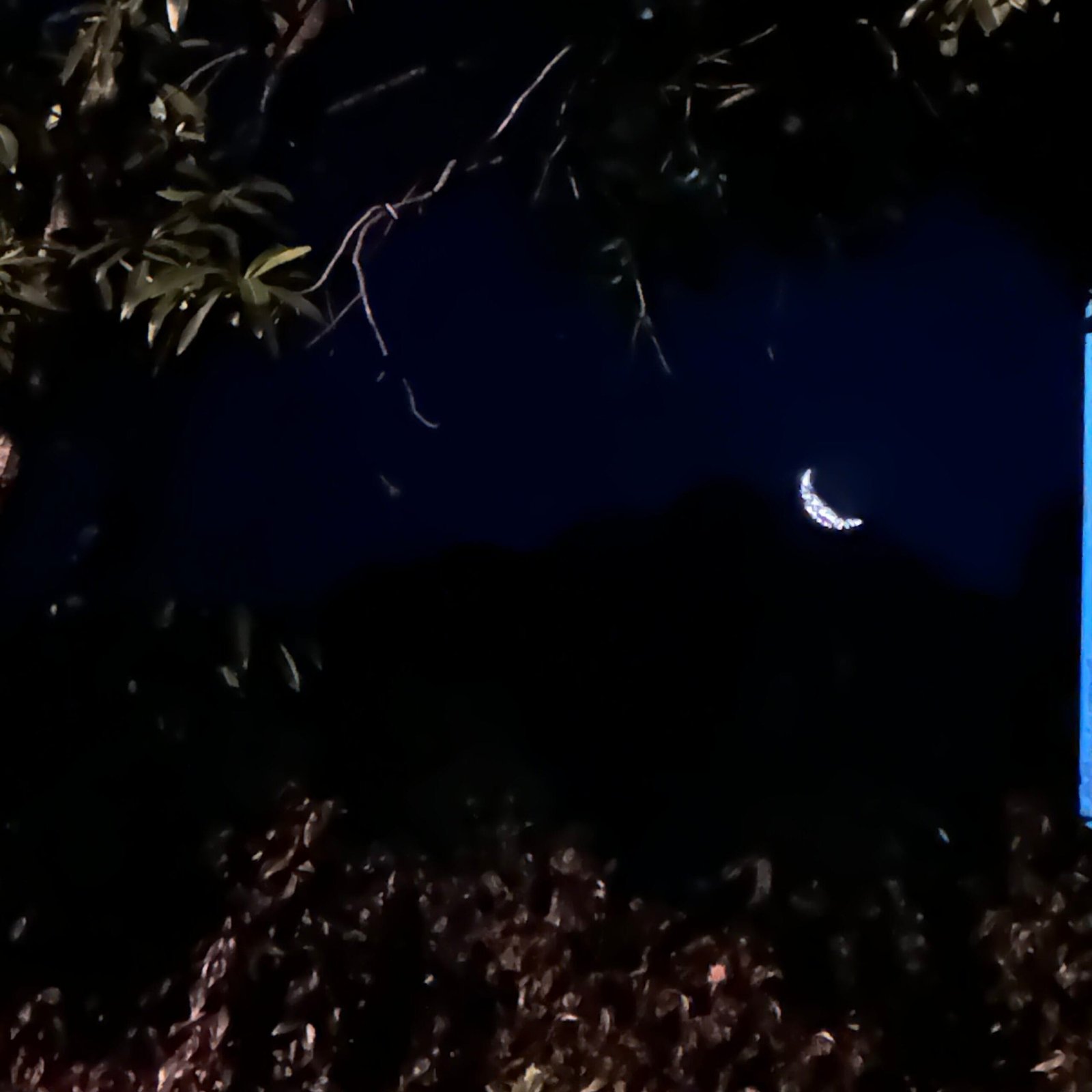 Back to WORK!!　No・・・気持ちはこんなでも、まだ仕事はいける？！